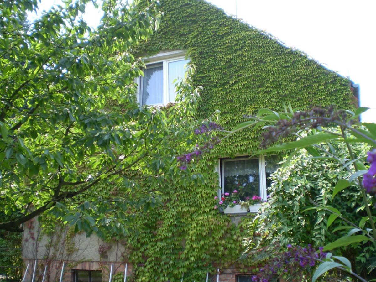 Ferienwohnung Wolf Nietwerder Extérieur photo